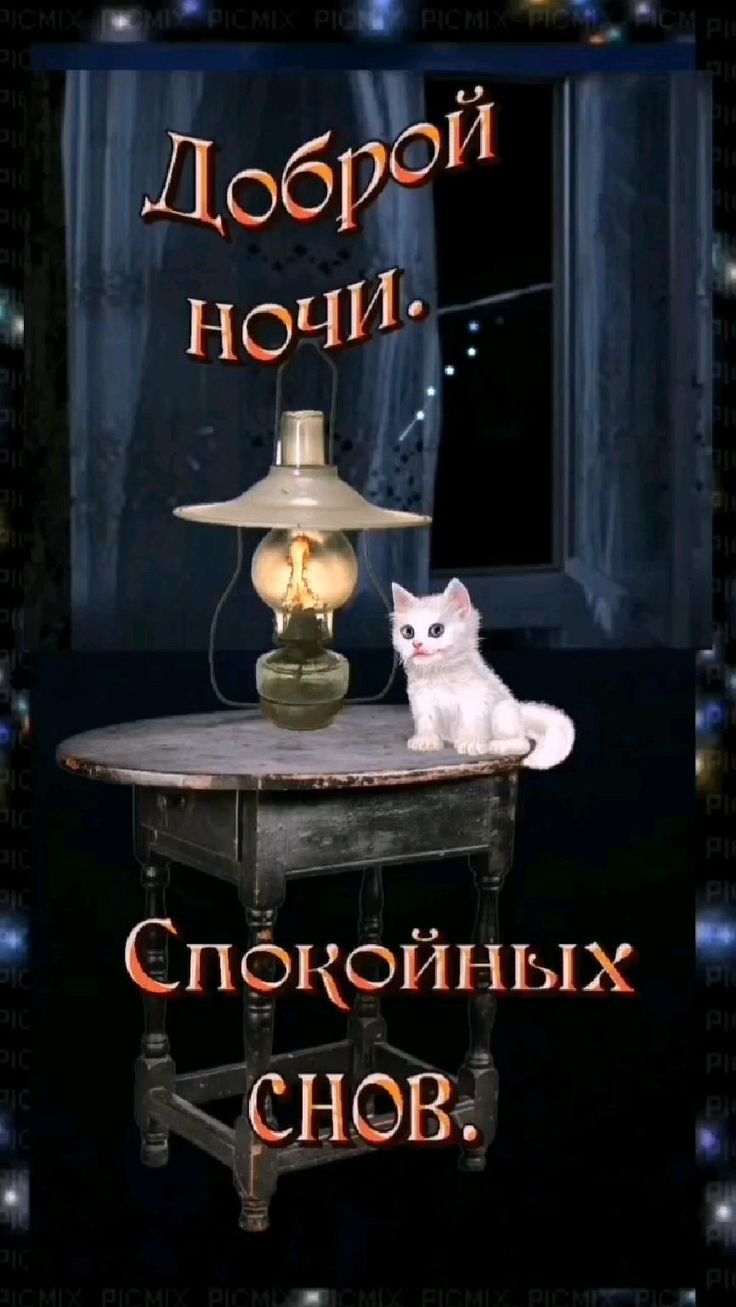 Открытка «Доброй ночи»: Спокойной ночи: открытка с белым котенком и лампой. Тэги: Спокойной ночи, пожелание, кот…