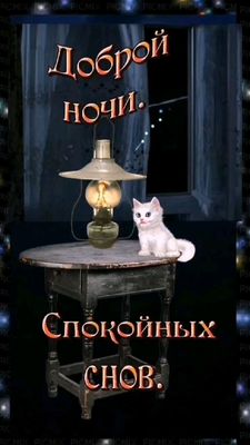 Открытка «Доброй ночи»: Спокойной ночи: открытка с белым котенком и лампой. Тэги: Спокойной ночи, пожелание, кот…