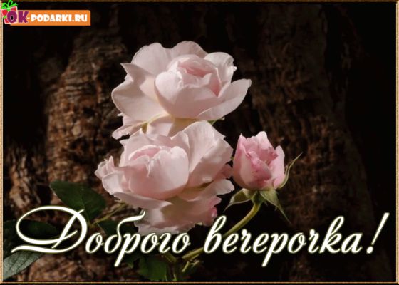 Открытка «Добрый вечер и пожелания»: Добрый вечер: «Нежные розы» для хорошего настроения. Тэги: Добрый вечер красивые…