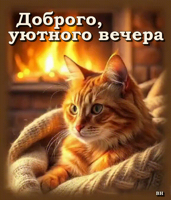 Открытка «Пожелание»: Добрый уютный вечер: пушистый кот у камина. Тэги: настроение, кот, милый, животное, уют, хороший…