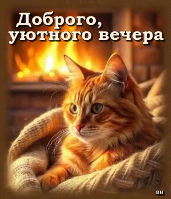 Открытка «Пожелание»: Добрый уютный вечер: пушистый кот у камина. Тэги: настроение, кот, милый, животное, уют, хороший…