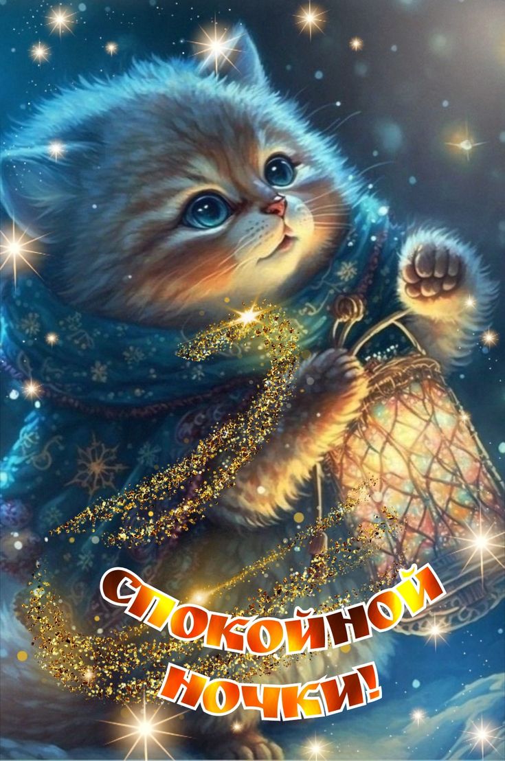 Открытка «Доброй ночи»: Спокойной ночки: милый котенок с фонариком. Тэги: Спокойной ночи, Спокойной ночи, красивые…