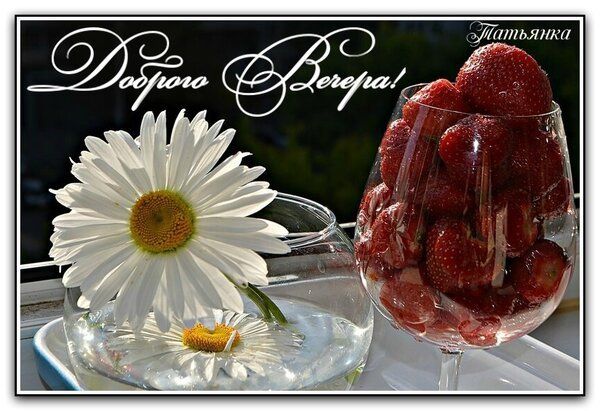 Открытка «Добрый вечер и пожелания»: Добрый вечер: «Спелая клубника и ромашки». Тэги: Доброго летнего вечера, Доброго…