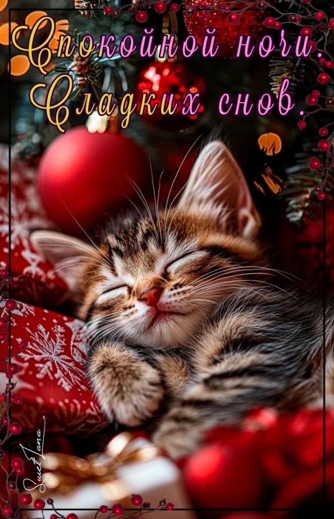 Открытка «Доброй ночи»: Спокойной ночи: милый котенок и новогодний уют. Тэги: Спокойной ночи, Спокойной ночи, красивые…
