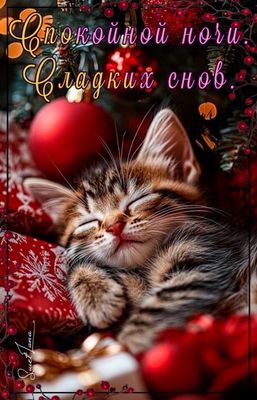 Открытка «Доброй ночи»: Спокойной ночи: милый котенок и новогодний уют. Тэги: Спокойной ночи, Спокойной ночи, красивые…