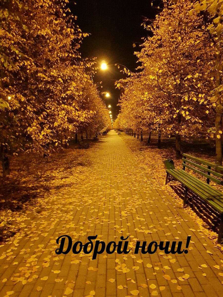 Открытка «Доброй ночи»: Доброй ночи: Золотая осень в ночном парке.