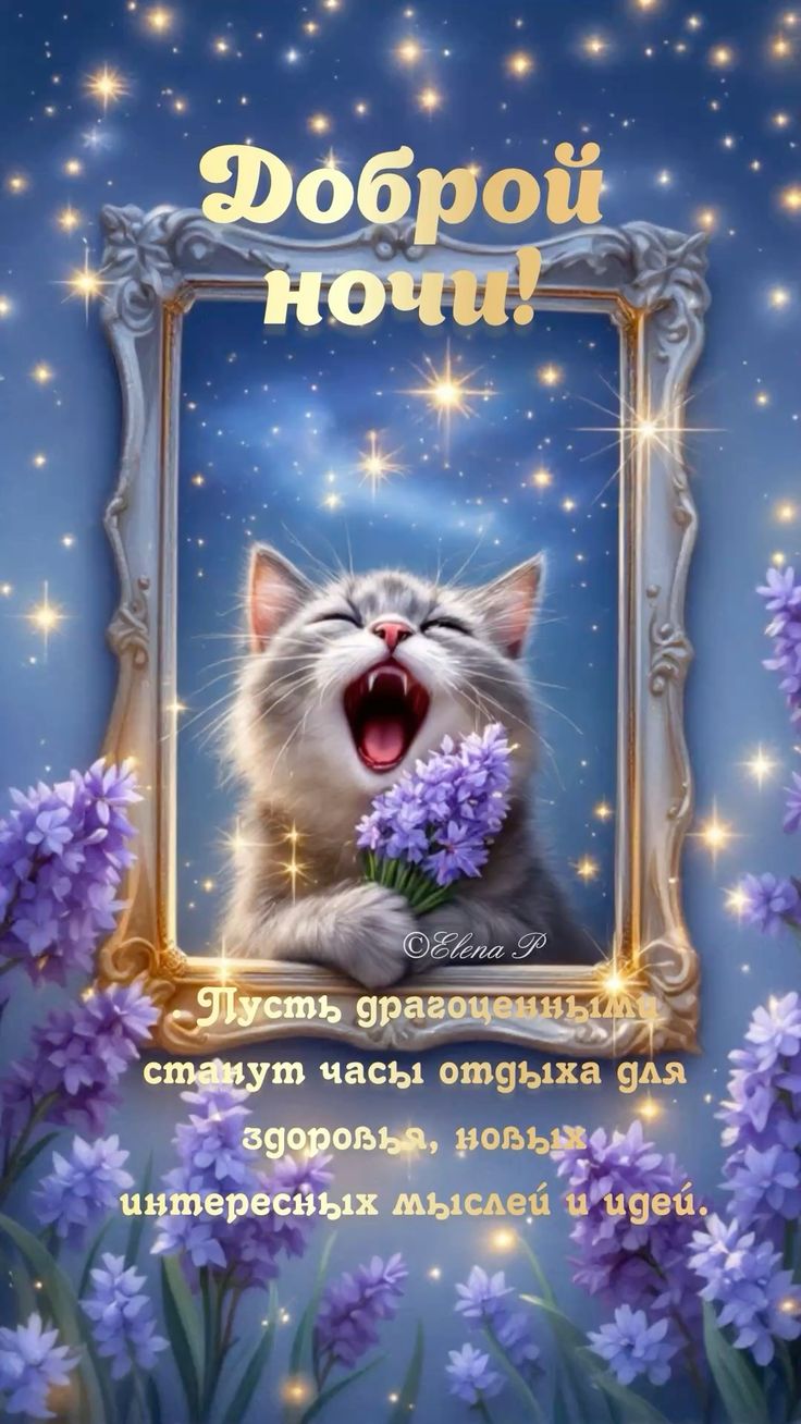 Открытка «Доброй ночи»: Доброй ночи: милый котик и пожелание отдыха.