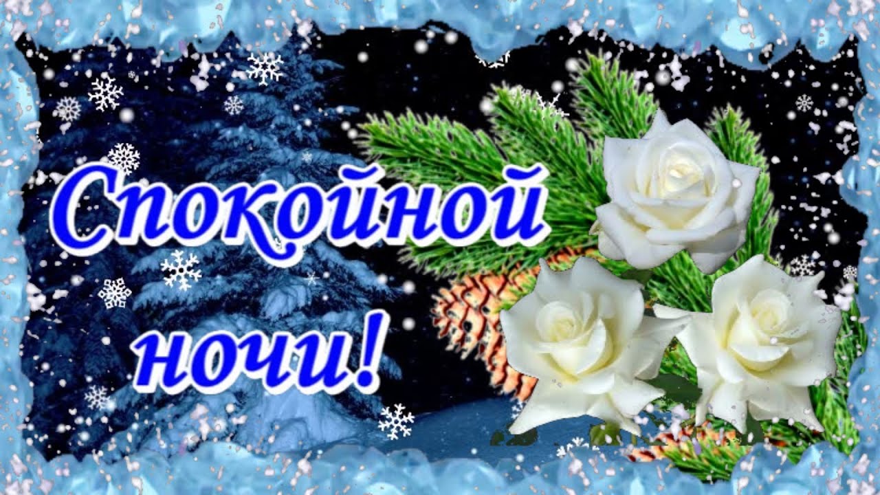 Открытка «Доброй ночи»: Спокойной ночи: Зимняя открытка с белыми розами. Тэги: Спокойной ночи, пожелание, праздник…