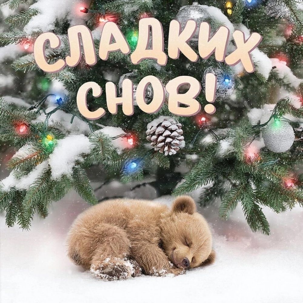 Открытка «Доброй ночи»: Доброй ночи: «Сладких снов» со спящим медвежонком. Тэги: Спокойной ночи, пожелание, радость…