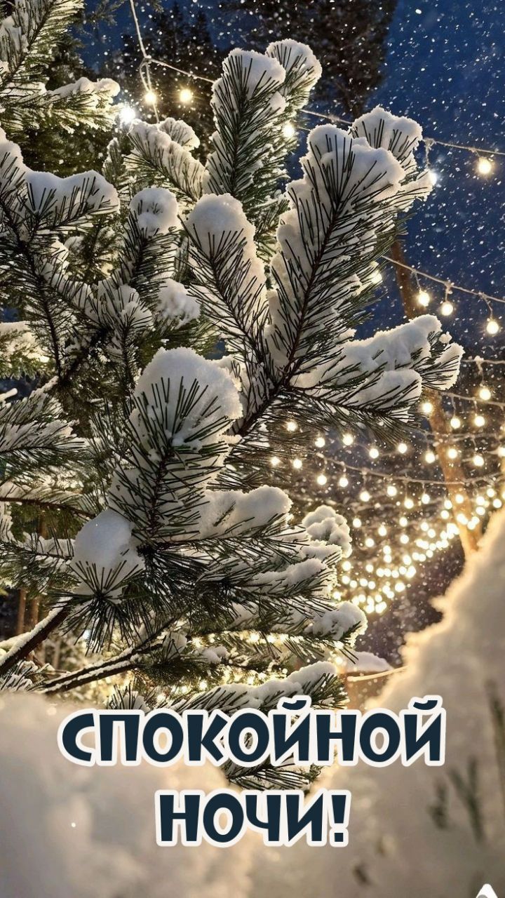 Открытка «Доброй ночи»: Спокойной ночи: зимняя ель в огоньках гирлянд. Тэги: Спокойной ночи, Спокойной ночи, красивые…