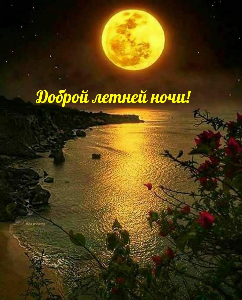 Открытка «Доброй ночи»: Спокойной ночи: красивая открытка «Доброй летней ночи». Тэги: пожелание, сказочный, лето…