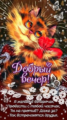 Открытка «Пожелание»: Добрый вечер! Милый рыжий кот и пожелание друзьям. Тэги: настроение, радость, улыбка, забавный…