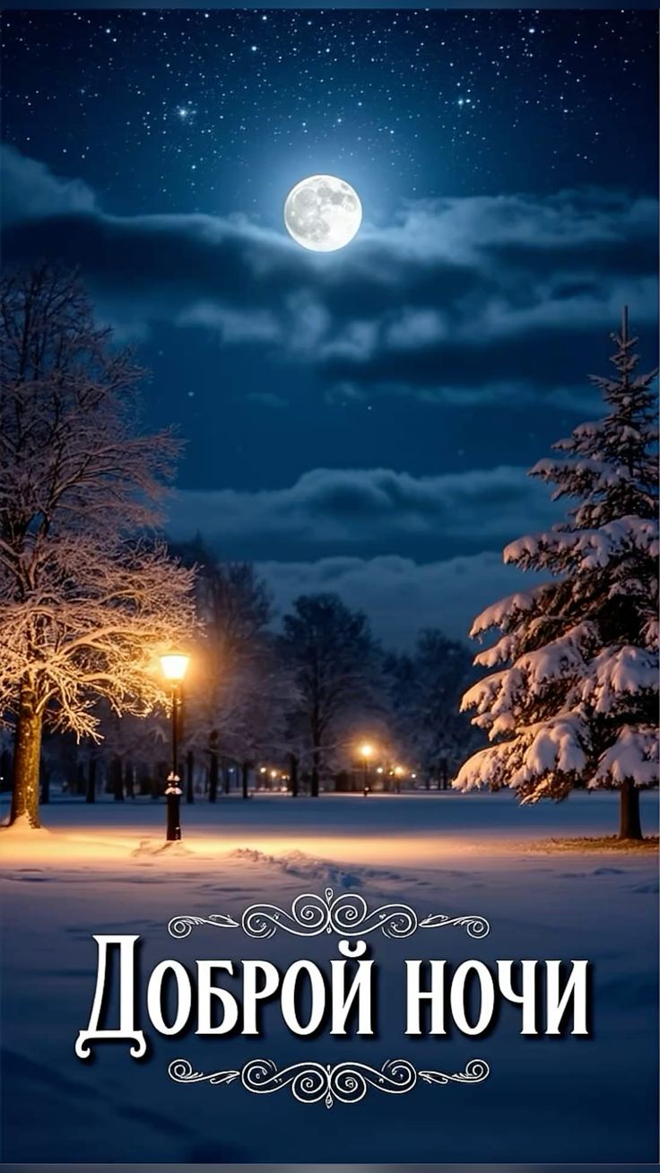 Открытка «Доброй ночи»: Доброй ночи: зимний пейзаж со снежной елью. Тэги: Спокойной ночи, Спокойной ночи, красивые…