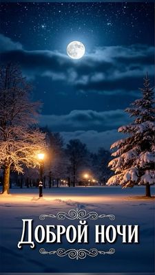 Открытка «Доброй ночи»: Доброй ночи: зимний пейзаж со снежной елью. Тэги: Спокойной ночи, Спокойной ночи, красивые…