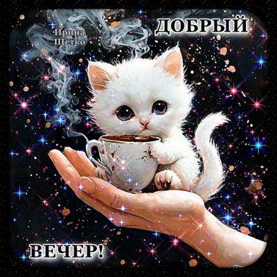 Открытка «Добрый вечер и пожелания»: Добрый вечер: милый котенок с чашкой кофе. Тэги: Добрый вечер красивые, Доброго…