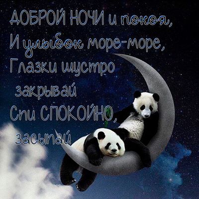 Открытка «Доброй ночи»: Доброй ночи: «Милые панды на месяце». Тэги: Спокойной ночи, Спокойной ночи, с пожеланиями…