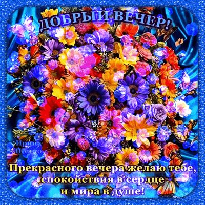Открытка «Добрый вечер и пожелания»: Добрый вечер! Нежный букет для прекрасного настроения. Тэги: Добрый вечер женщине…