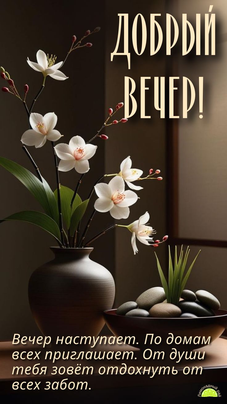 Открытка «Добрый вечер и пожелания»: Добрый вечер! Нежные орхидеи и пожелание отдыха. Тэги: Добрый вечер женщине…