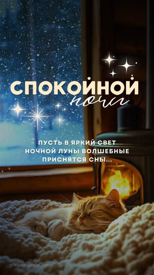 Открытка «Доброй ночи»: Спокойной ночи: зимняя сказка и спящий кот. Тэги: Спокойной ночи, пожелание, кот, животное…