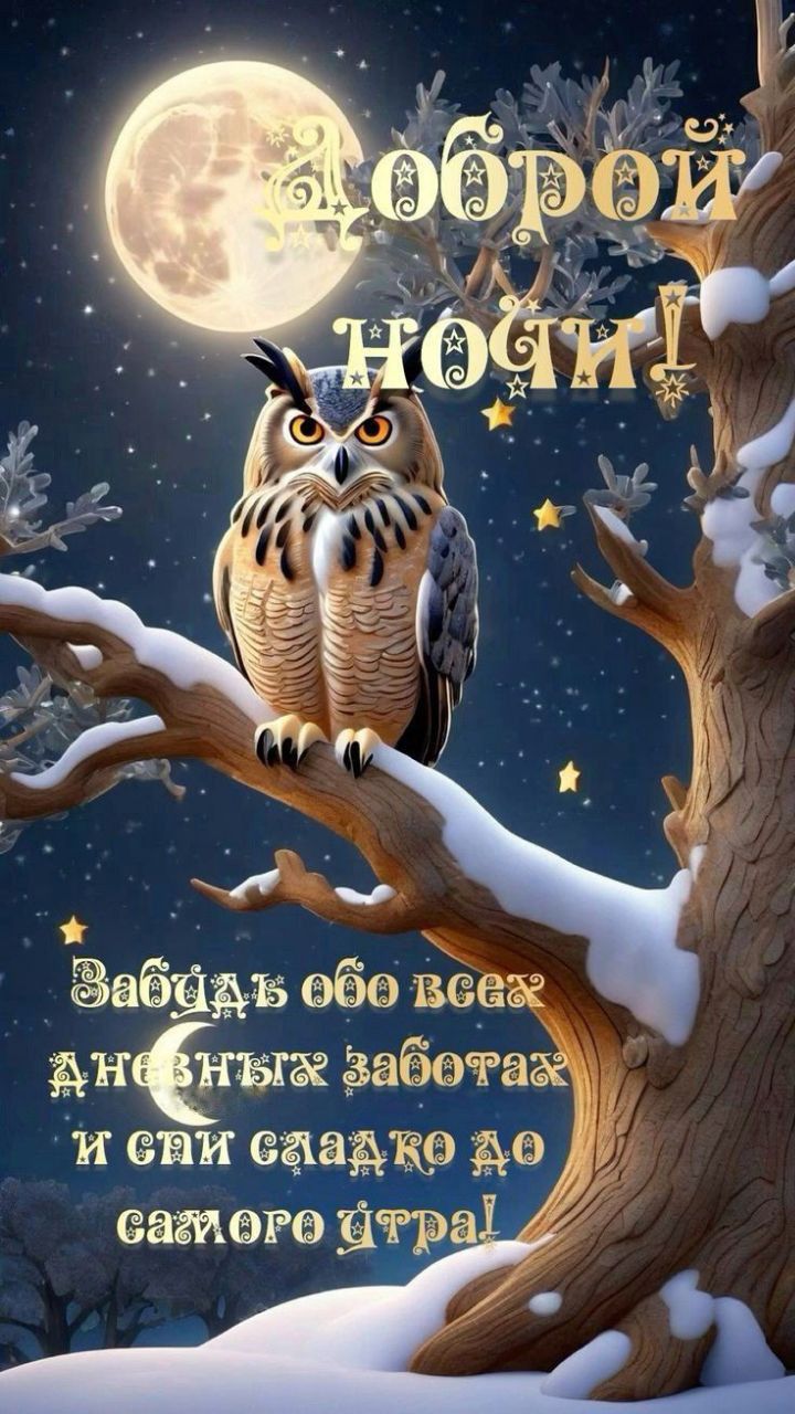 Открытка «Доброй ночи»: Доброй ночи: мудрая сова под полной луной.