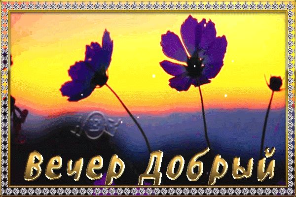 Открытка «Пожелание»: Добрый вечер: Красивые цветы на фоне заката. Тэги: настроение, надпись, хороший, солнце, прекра…
