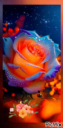 Открытка «Доброй ночи»: Спокойной ночи: Волшебная роза и звездное небо.