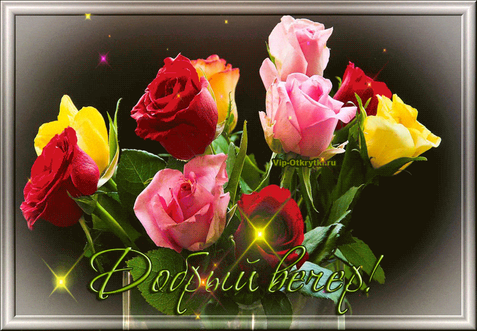 Открытка «Добрый вечер и пожелания»: Добрый вечер! Красивый букет роз для настроения. Тэги: Добрый вечер красивые…