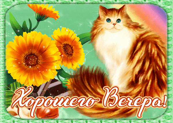 Открытка «Пожелание»: Добрый вечер: пушистый рыжий кот и яркие цветы. Тэги: настроение, радость, кот, милый, животное…