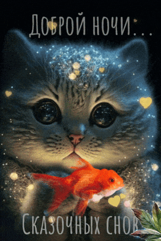Открытка «Доброй ночи»: Спокойной и доброй ночи: Маленький кот и золотая рыбка. Тэги: пожелание, кот, надпись, рисунок…