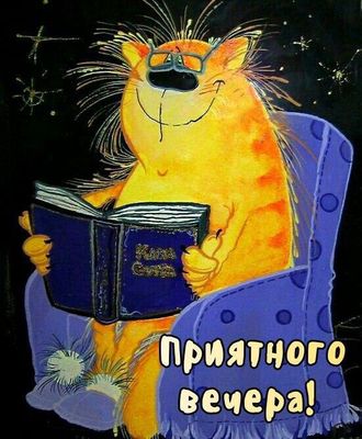 Открытка «Пожелание»: Добрый вечер: Прикольный рыжий кот с книгой. Тэги: настроение, смешной, прикольный, веселый…