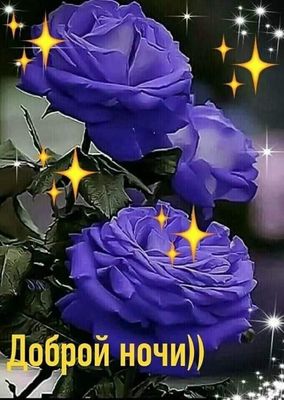 Открытка «Доброй ночи»: Доброй ночи: красивые фиолетовые розы и звезды. Тэги: Спокойной ночи, Спокойной ночи, красивые…