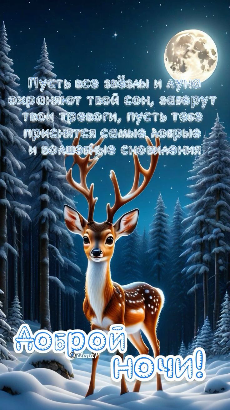 Открытка «Доброй ночи»: Доброй ночи: Волшебный олень в зимнем лесу. Тэги: Спокойной ночи, Спокойной ночи, красивые…