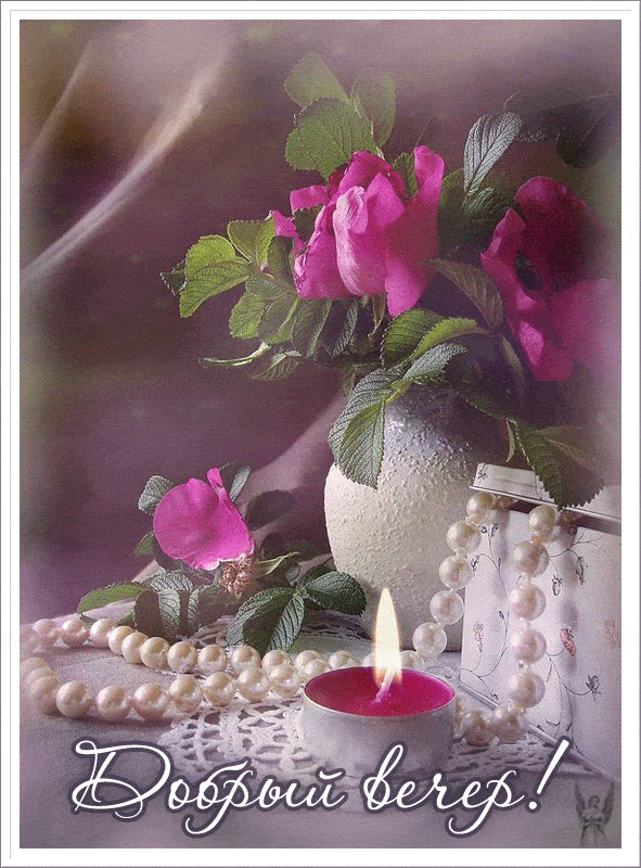 Открытка «Добрый вечер и пожелания»: Добрый вечер: «Нежные цветы роза и жемчуг». Тэги: Добрый вечер красивые, Добрый…