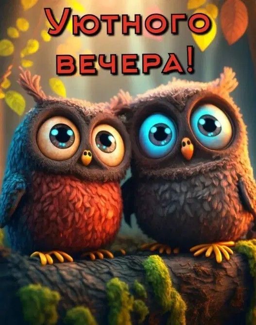 Открытка «Добрый вечер и пожелания»: Добрый вечер: милые совушки и уютное пожелание. Тэги: Прикольный добрый вечер…