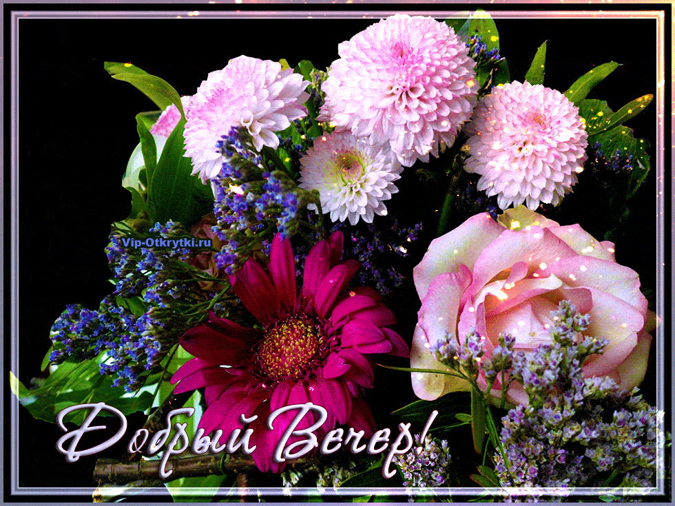 Открытка «Добрый день»: Добрый вечер: Красивый букет цветов и пожелание. Тэги: Добрый день и добрые пожелания, Добрый…