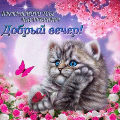 Открытка «Настроение»: Добрый вечер! Открытка с милым котиком и цветами. Тэги: радость, кот, рисунок, милый, животное…