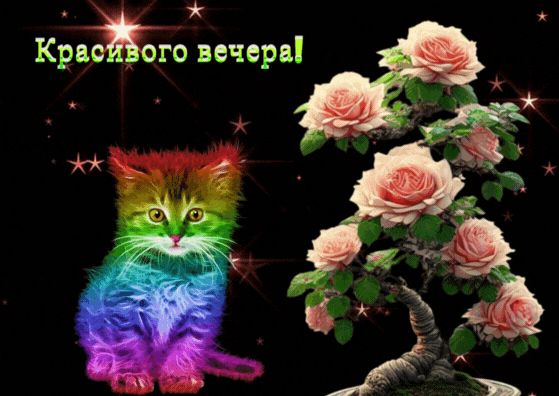 Открытка «Добрый вечер и пожелания»: Добрый вечер: «Радужный кот и розы». Тэги: Добрый вечер красивые, Необычный добр…