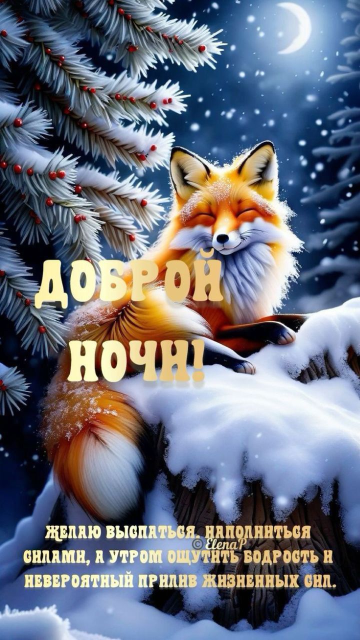Открытка «Доброй ночи»: Доброй ночи: милая лиса в заснеженном лесу.