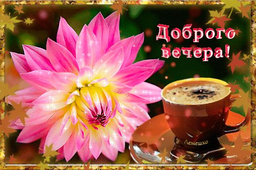 Открытка «Добрый вечер и пожелания»: Добрый вечер: «Нежный цветок и чашка кофе». Тэги: Добрый вечер красивые, Добрый…