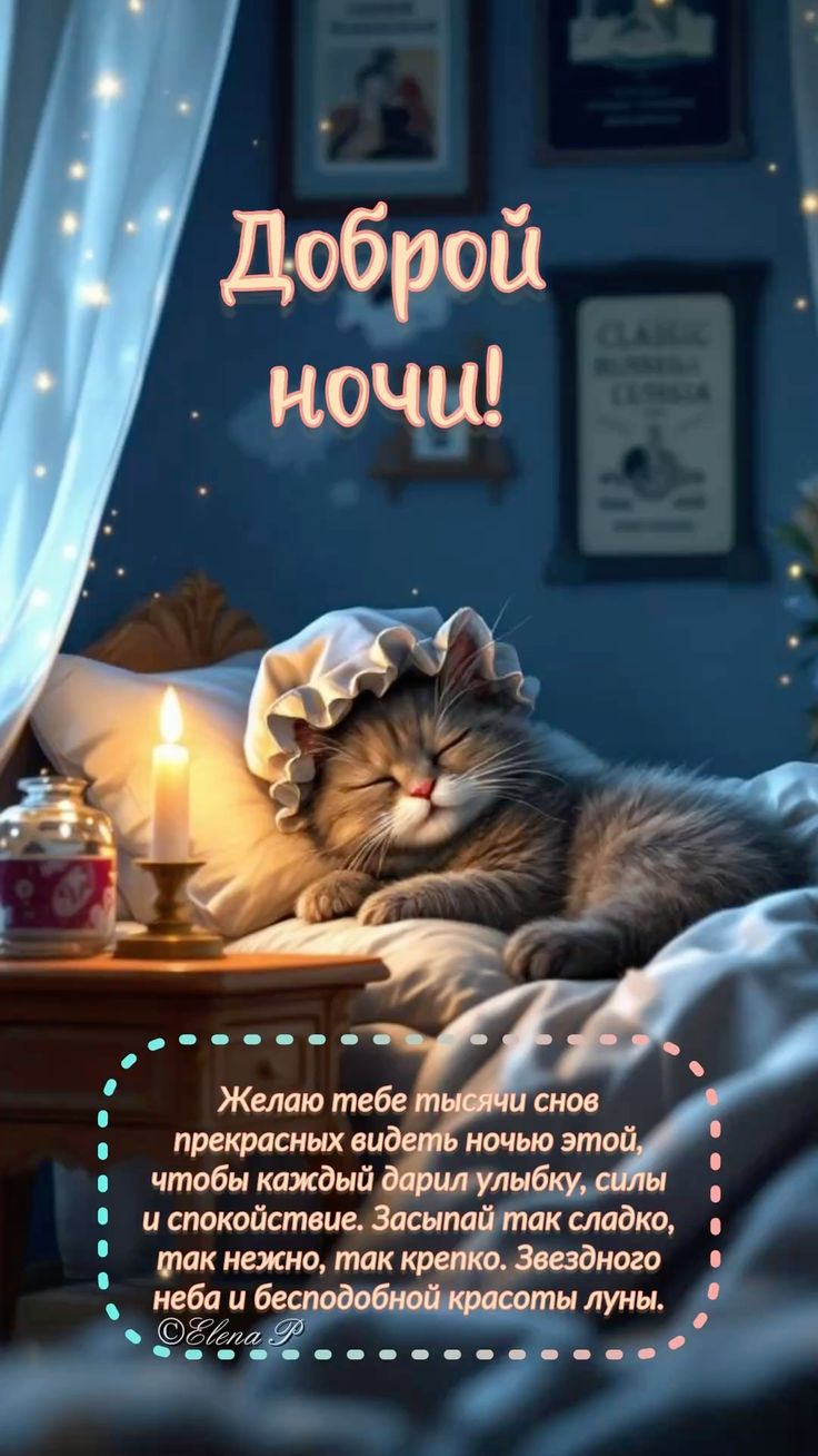 Открытка «Доброй ночи»: Доброй ночи: милый котик и пожелание волшебных снов. Тэги: Спокойной ночи, пожелание, настрое…