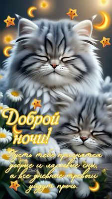 Открытка «Доброй ночи»: Доброй ночи: милые спящие коты и доброе пожелание. Тэги: Спокойной ночи, Спокойной ночи…
