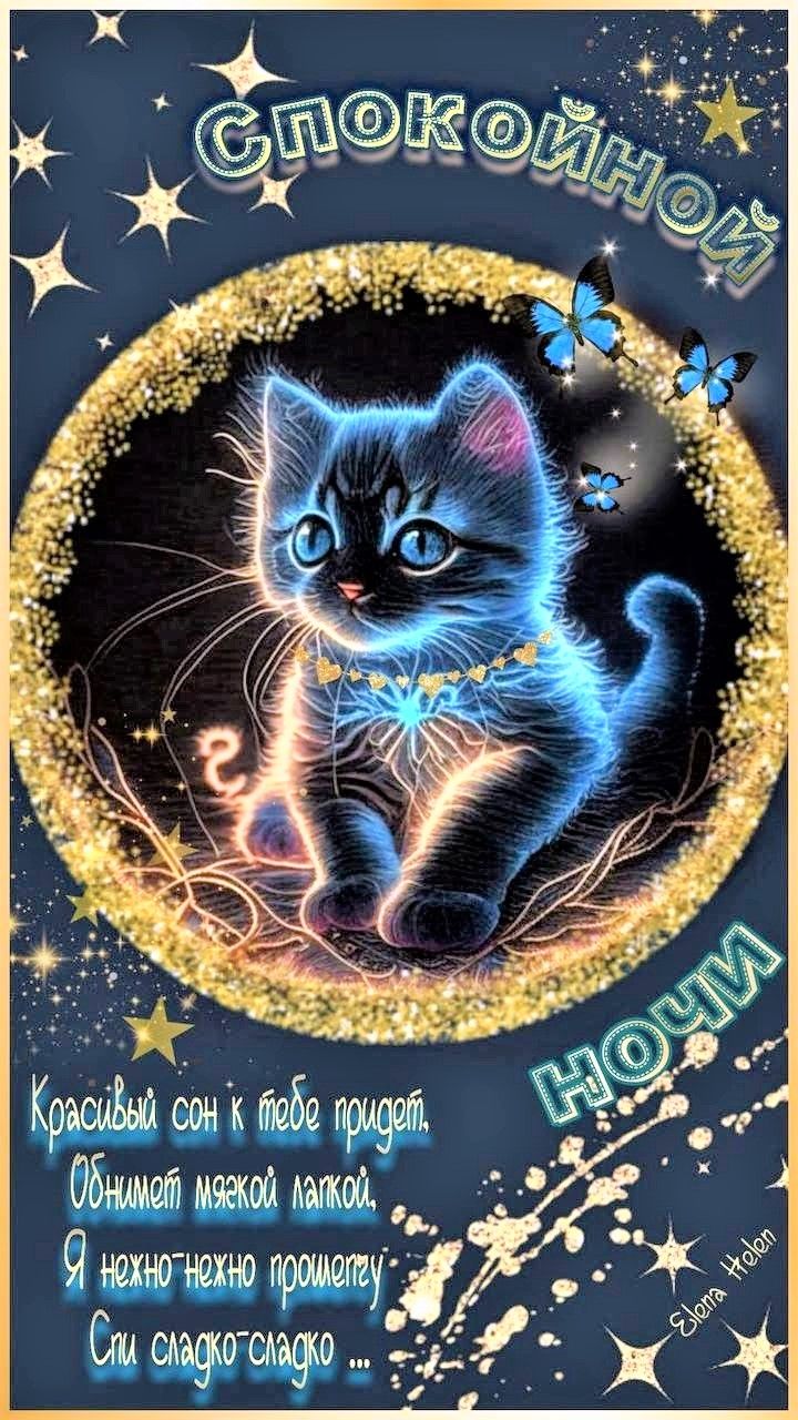 Открытка «Доброй ночи»: Спокойной ночи: милый светящийся котенок со звездами. Тэги: Спокойной ночи, Спокойной ночи…