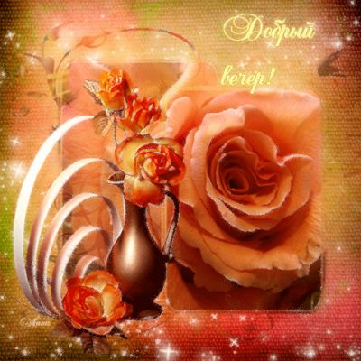 Открытка «Добрый вечер и пожелания»: Добрый вечер! Нежные розовые розы для отличного настроения. Тэги: Доброго вечера…