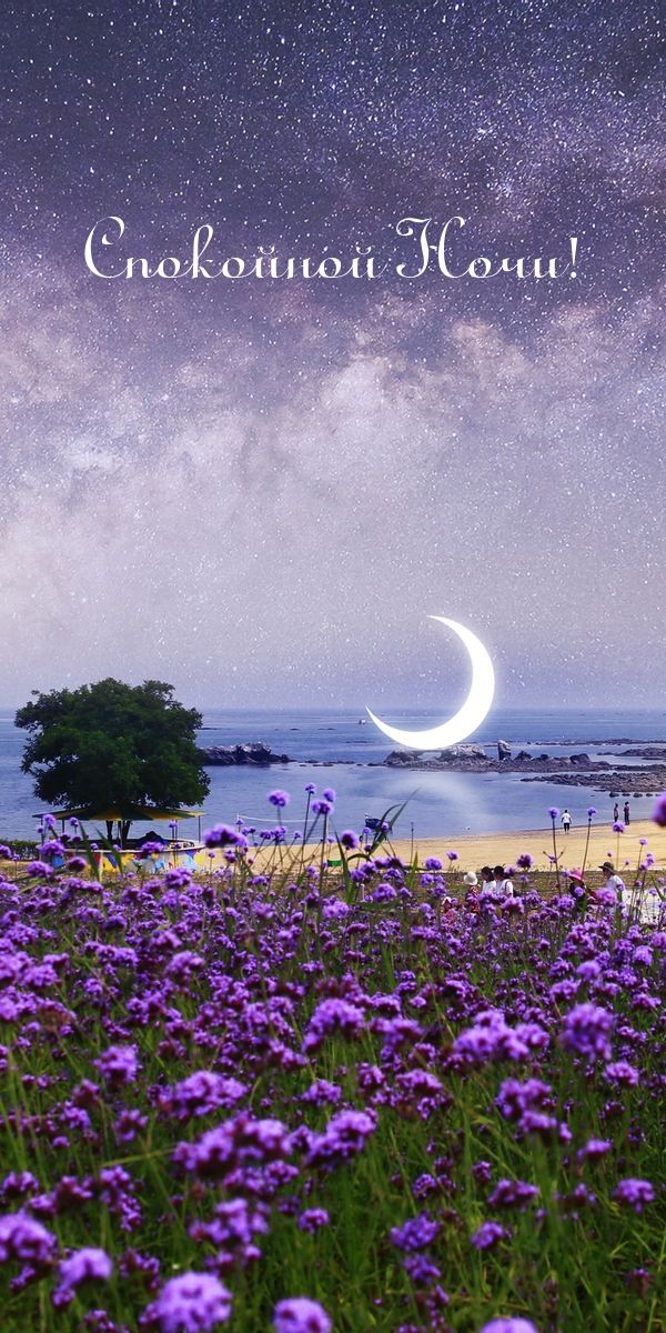 Открытка «Доброй ночи»: Спокойной ночи: Волшебный пейзаж с морем и цветами. Тэги: Спокойной ночи, пожелание, надпись…