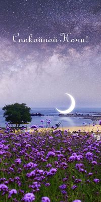Открытка «Доброй ночи»: Спокойной ночи: Волшебный пейзаж с морем и цветами. Тэги: Спокойной ночи, пожелание, надпись…
