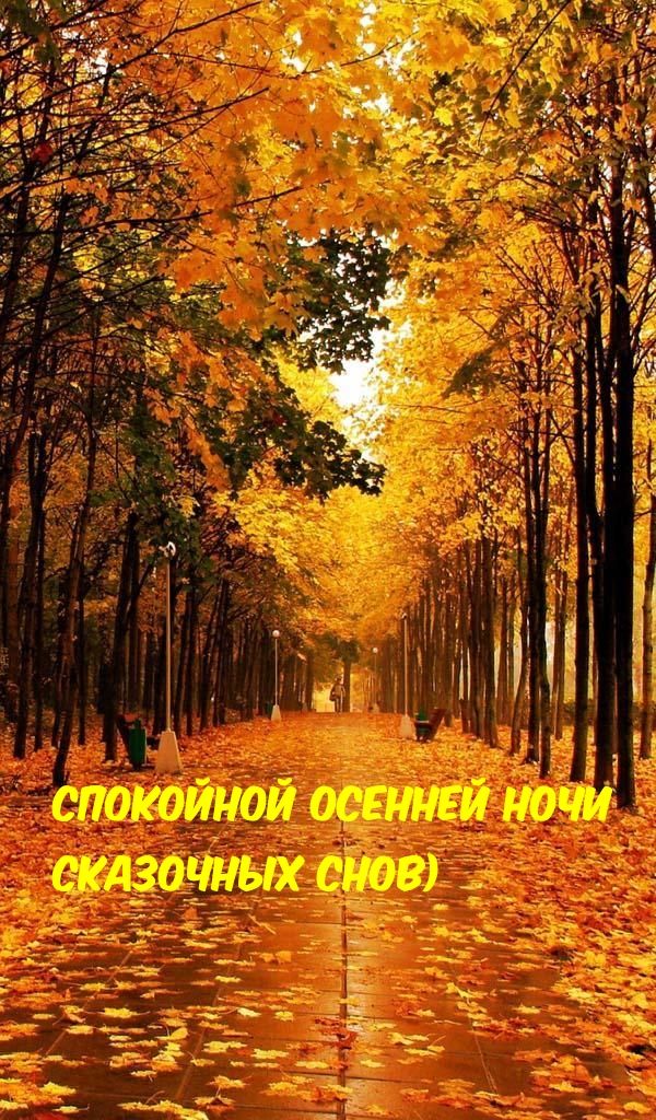 Открытка «Доброй ночи»: Спокойной ночи: «Осенняя аллея» сказочных снов. Тэги: пожелание, надпись, сказочный, осень…