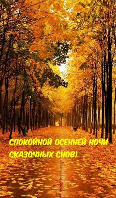 Открытка «Доброй ночи»: Спокойной ночи: «Осенняя аллея» сказочных снов. Тэги: пожелание, надпись, сказочный, осень…