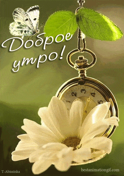 Открытка «С добрым утром»: Доброе утро! Нежность природы для прекрасного дня. Тэги: хорошего дня, пожелание, позитивн…