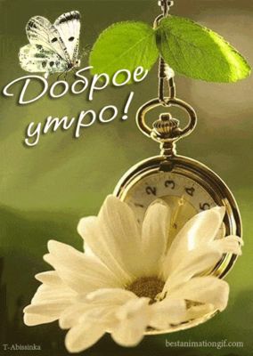 Открытка «С добрым утром»: Доброе утро! Нежность природы для прекрасного дня. Тэги: хорошего дня, пожелание, позитивн…