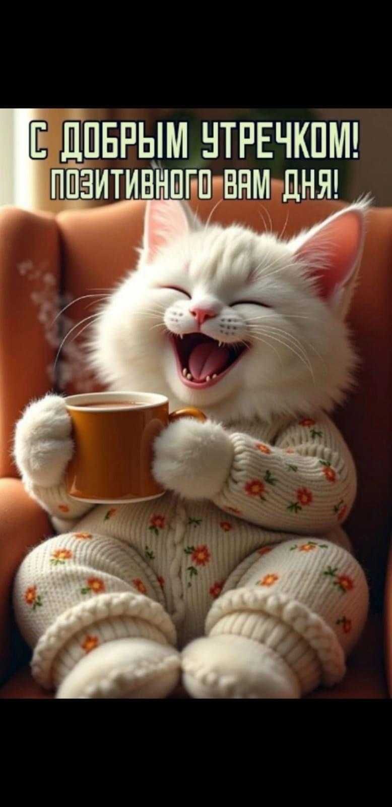 Открытка «С добрым утром»: Пушистый котик желает доброго утра и позитивного дня. Тэги: хорошего дня, кот, животное…